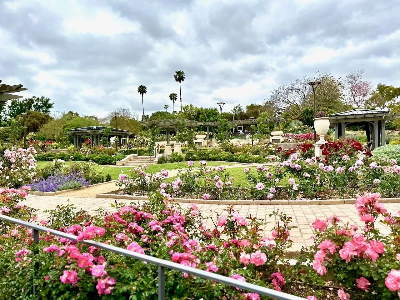 Thumbnail of South Coast Botanic Garden