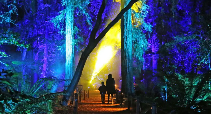 Descanso Gardens