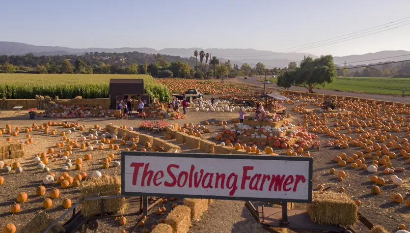 Solvang Farmer Pumpkin Patch