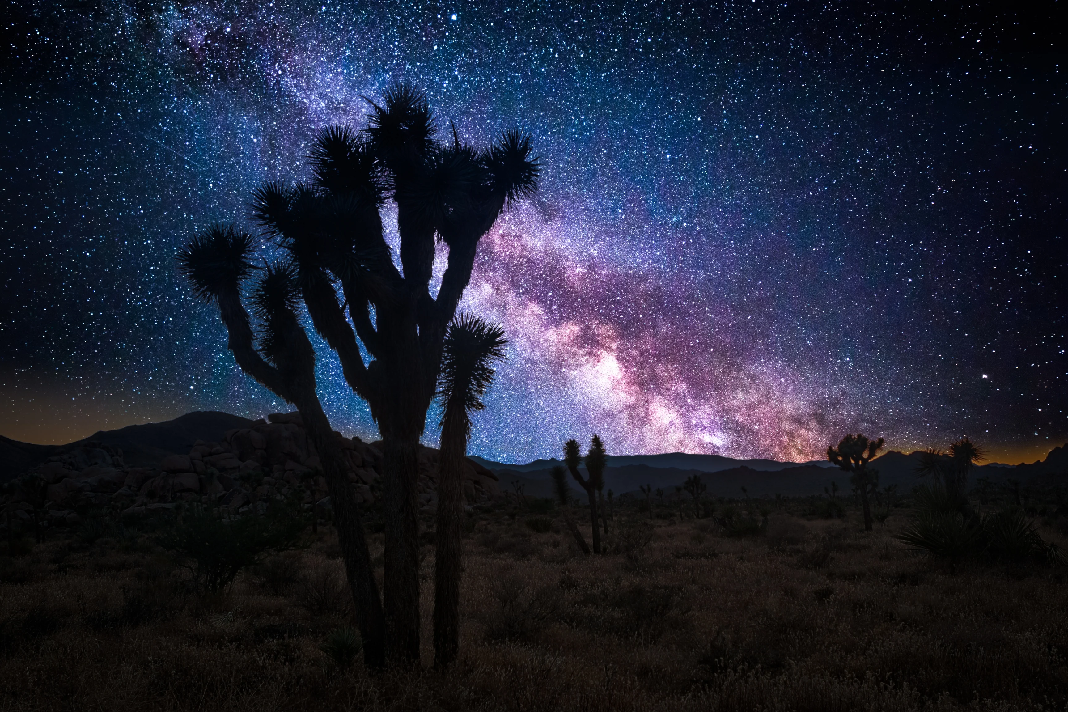 Joshua Tree National Park