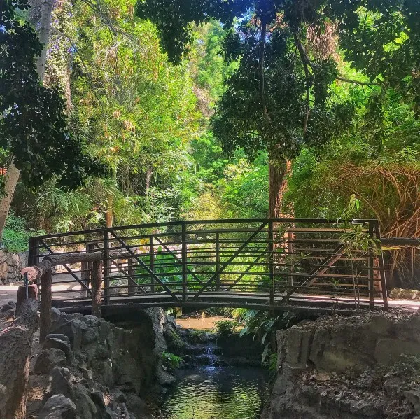 Fern Dell Nature Trail