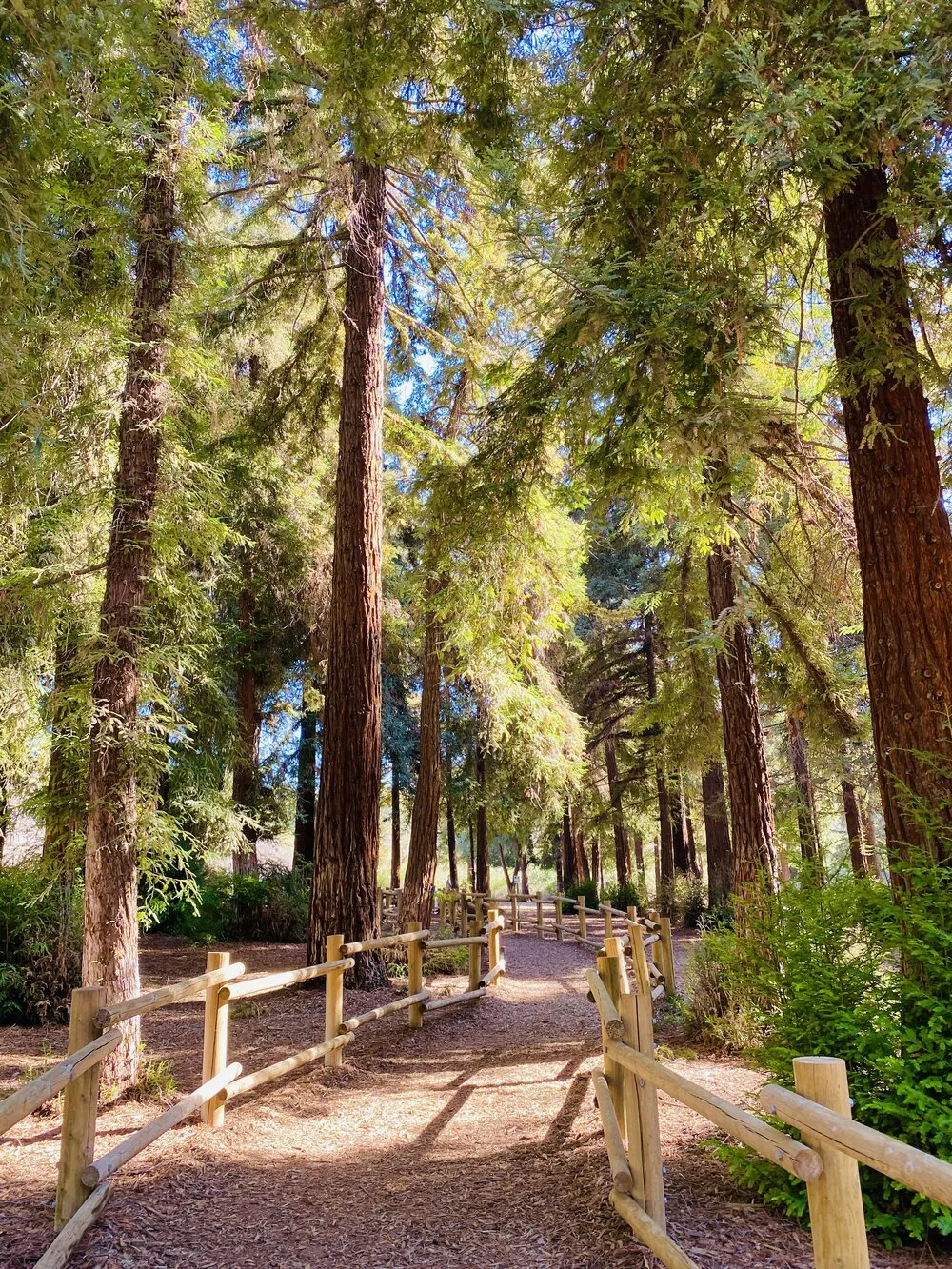 Carbon Canyon Regional Park