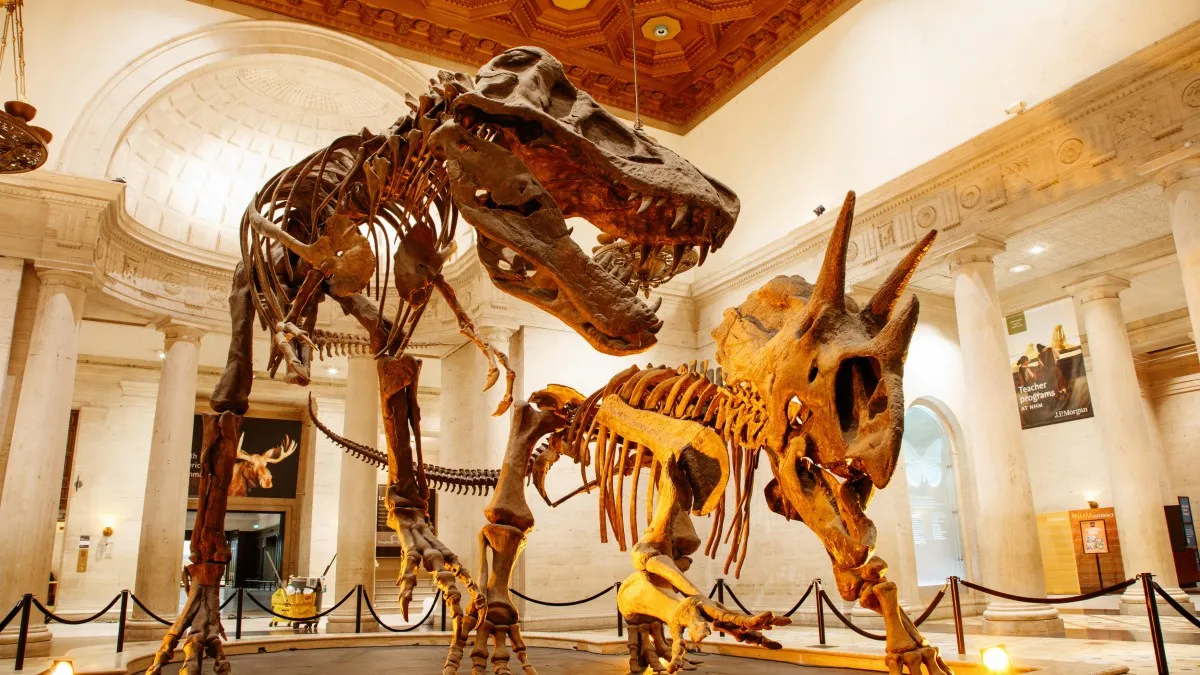 Natural History Museum of Los Angeles County (NHM)