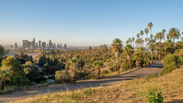 Elysian Park