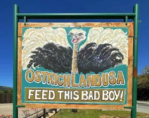 Ostrichland USA